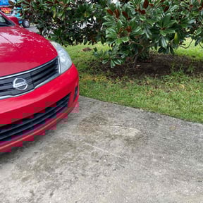 Leaf Removal by Willie's Mobile Lawn Services reviewed on June 19, 2022