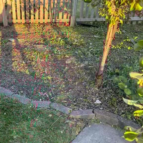 Flower Bed Weeding by Yard Boss Lawn & Landscape LLC reviewed on August 6, 2022