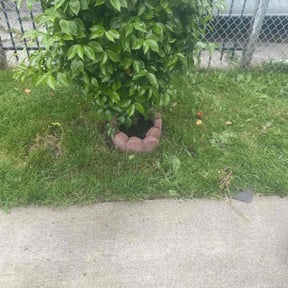 Flower Bed Weeding by Tnt property management reviewed on May 22, 2022