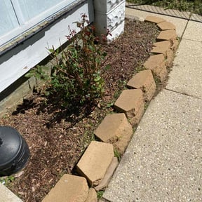 Flower Bed Weeding by David Perez reviewed on May 17, 2022