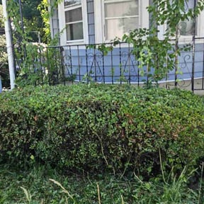 Cleanups by Champions Landscape reviewed on October 29, 2021