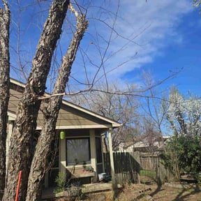 Cleanups by Chad Suenram reviewed on June 16, 2025