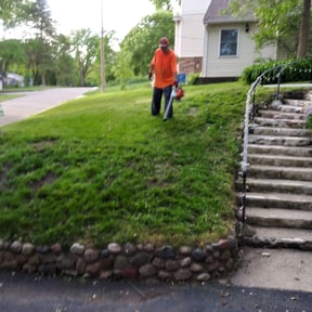 Leaf Removal by Mowpro1 reviewed on April 4, 2022