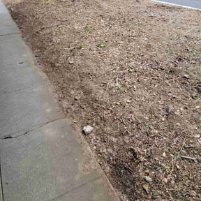 Cleanups by Bernal landscaping reviewed on May 17, 2022