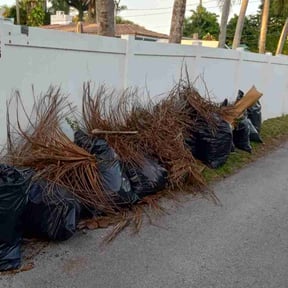 Leaf Removal by J Jr’s Lawn Maintenance reviewed on February 25, 2025