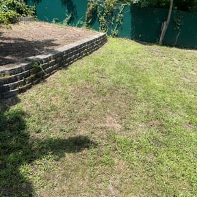 Leaf Removal by SM LawnCare reviewed on May 5, 2022