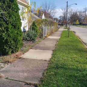 Leaf Removal by Mitchell's Home Solutions reviewed on May 25, 2025