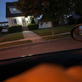 Bush Trimming by Charleston Elite Lawn Care llc reviewed on May 24, 2022