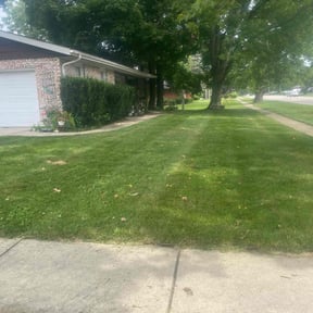 Leaf Removal by Oleksii reviewed on April 25, 2021