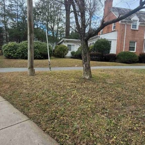 Leaf Removal by Chase property management and improvements llc reviewed on August 1, 2021