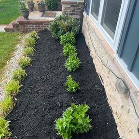 Landscaping by DT Property Preservation reviewed on August 5, 2021