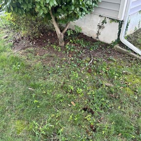 Leaf Removal by Smith brothers’ lawn services and power washing reviewed on August 4, 2022