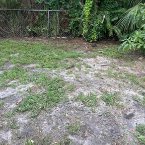 Leaf Removal by Bobby's lawncare reviewed on June 29, 2022