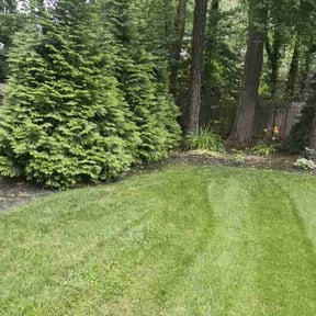Cleanups by Land Elements inc reviewed on August 2, 2022