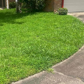 Bush Trimming by Scott Basinger lawn care reviewed on May 17, 2022