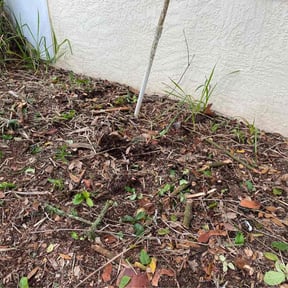 Bush Trimming by Integrity Lawn Care reviewed on March 23, 2022