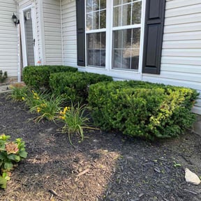 Bush Trimming by Damascus Home Properties reviewed on July 21, 2022