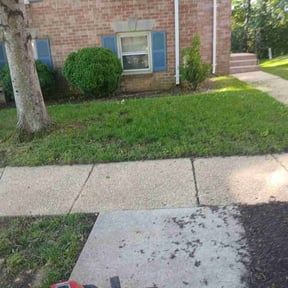 Bush Trimming by Blazing Sun Lawncare & Landscaping, LLC reviewed on August 4, 2022