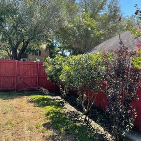 Bush Trimming by Alexito Landscaping reviewed on April 14, 2025