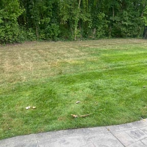 Bush Trimming by Maganda Gardens LLC reviewed on October 7, 2021