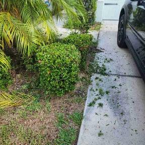 Bush Trimming by A.M. Lawncare Services LLC reviewed on June 15, 2022