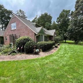 Bush Trimming by P E &amp; S Outdoors Limited Co reviewed on June 1, 2025