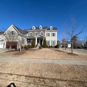 Leaf Removal by deeper roots lawncare reviewed on October 31, 2022