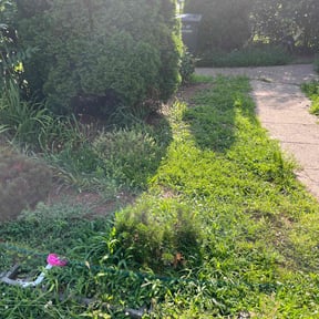 Flower Bed Weeding by Kowtown Services reviewed on June 29, 2022