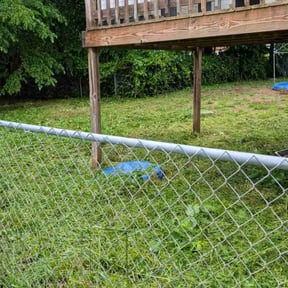 Cleanups by Lindsay’s lawncare reviewed on June 17, 2024