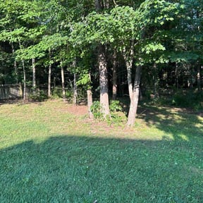 Cleanups by The Greener Side Landscape Maintenance And Design LLC reviewed on June 19, 2021