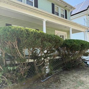 Bush Trimming by AJ Prosper Clean and Tidy Janitorial and Lawn Care LLC reviewed on May 15, 2022