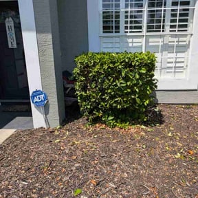Bush Trimming by Creative Edge lawn & Landscape reviewed on January 5, 2022
