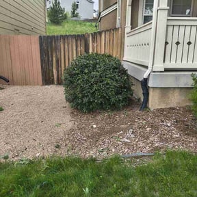 Bush Trimming by TruGreen LawnCare reviewed on May 17, 2025