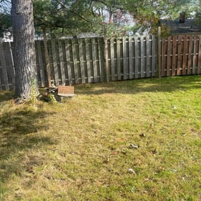 Leaf Removal by A1 Sears Carpet Cleaning/Landscaping reviewed on July 6, 2022