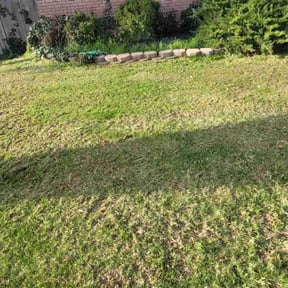 Lawn Seeding by Mount Zion Landscaping and Maintenance reviewed on June 17, 2022