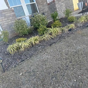 Flower Bed Weeding by Green T's Lawn &amp; Landscape reviewed on April 19, 2025