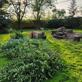 Cleanups by LSLTDallas/FortWorthTruGreen reviewed on February 20, 2024