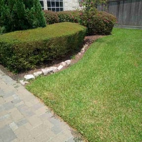 Bush Trimming by Roscoe&Jaee's "You Name It We Do It Family lawn service" reviewed on May 11, 2025