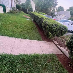 Weed Pulling by Scott Lawncare reviewed on June 30, 2022