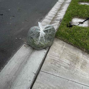 Flower Bed Weeding by Above & Beyond Handy Services reviewed on January 20, 2022