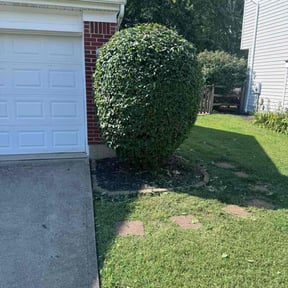 Bush Trimming by RhodenColes Investments reviewed on May 6, 2022