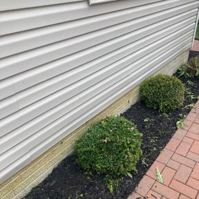 Bush Trimming by WLQ Solutions reviewed on May 11, 2022