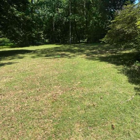Cleanups by QK landscaping reviewed on July 6, 2022