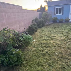 Cleanups by TruGreen LawnCare reviewed on March 4, 2025