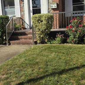 Bush Trimming by Ledezma reviewed on June 27, 2022