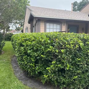 Bush Trimming by J&R property solutions reviewed on May 4, 2021