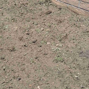 Flower Bed Weeding by Clean Cut Land Management reviewed on October 13, 2022