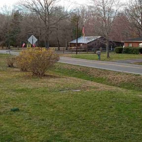 Bush Trimming by Caponi Lawn and Landscape reviewed on November 2, 2022