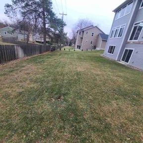 Leaf Removal by Olympus Outdoor Services reviewed on April 8, 2025
