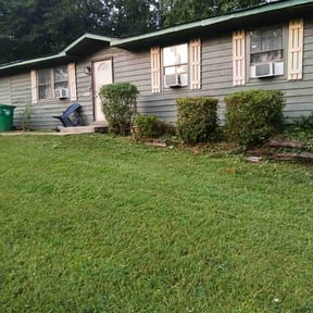 Bush Trimming by TruGreen LawnCare reviewed on June 12, 2025